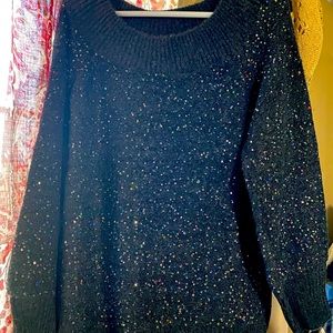 NWT New York & Company Sparkly Sweater